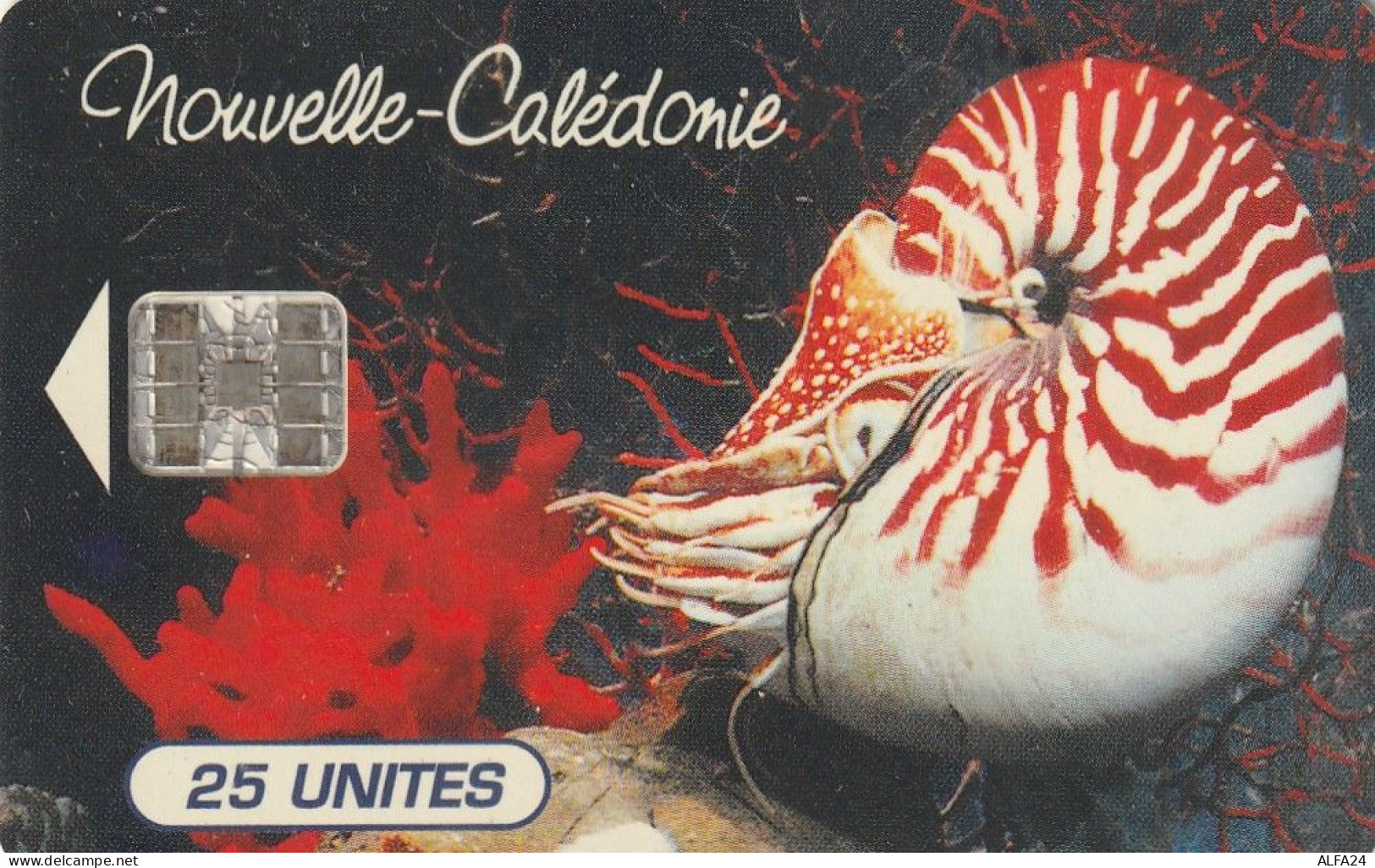 PHONE CARD NUOVA CALEDONIA  (E3.2.8 - Nueva Caledonia