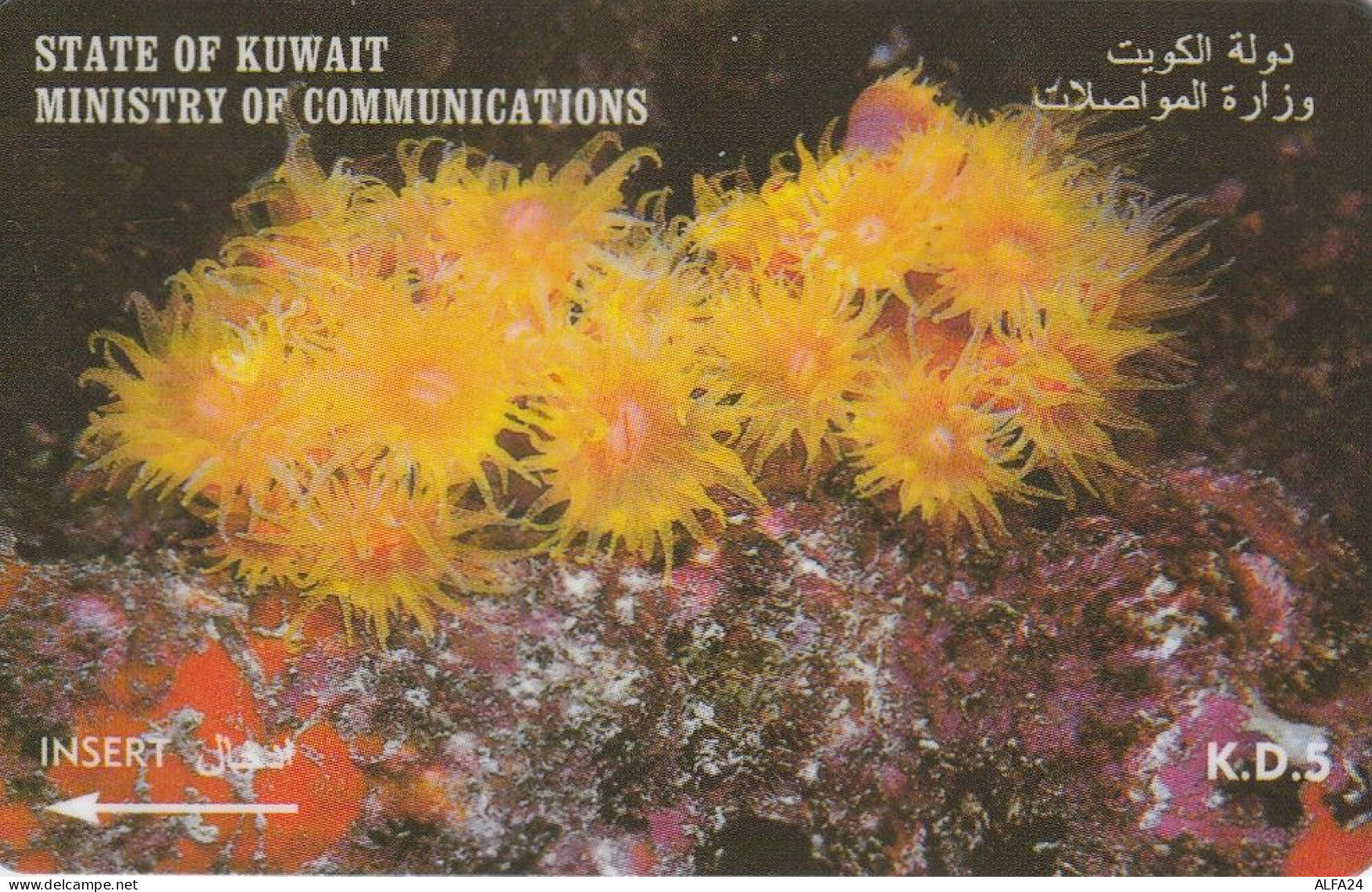 PHONE CARD KUWAIT  (E3.1.7 - Koweït