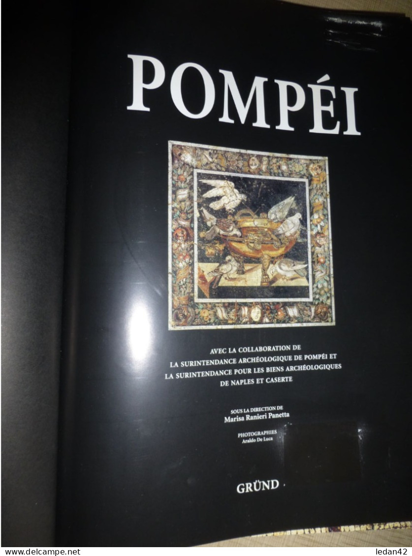 Titre : Pompéi. Edition Gründ 2004, ouvrage collectif richement illustré. Format 36 x 26. 416 pages.