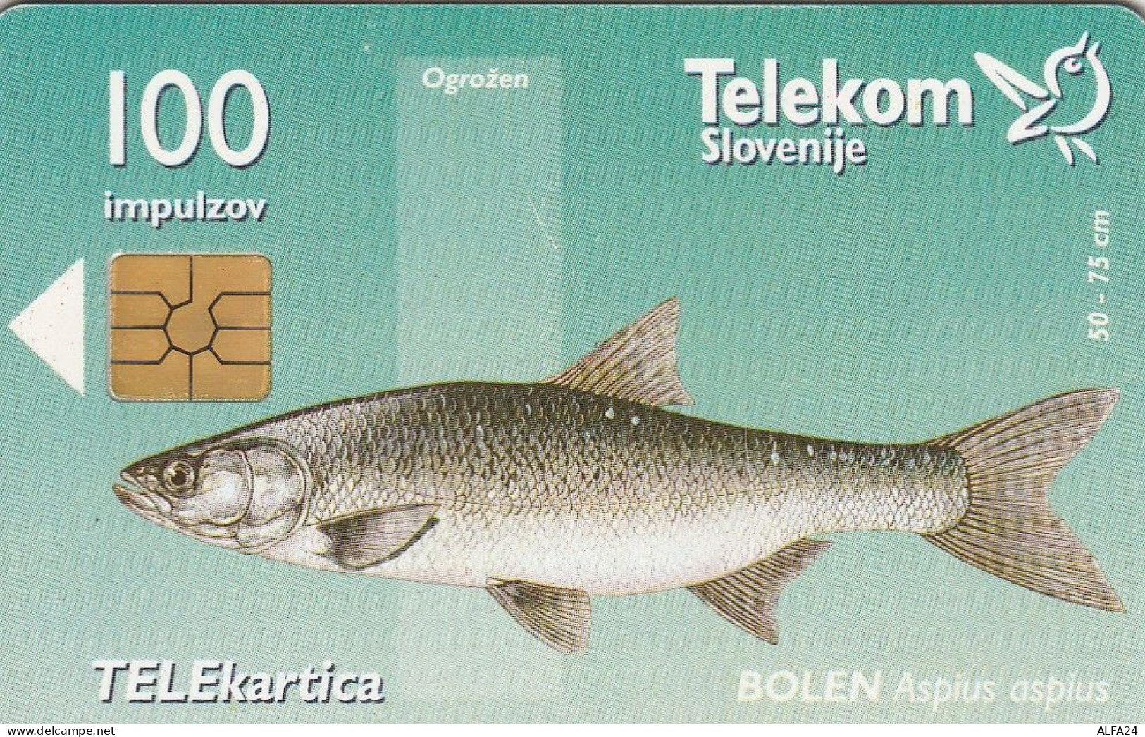 PHONE CARD SLOVENIA  (E4.25.5 - Slovénie