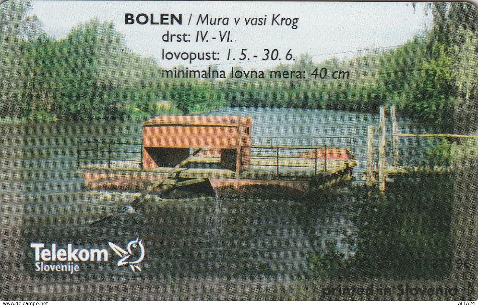 PHONE CARD SLOVENIA  (E4.25.5 - Slowenien