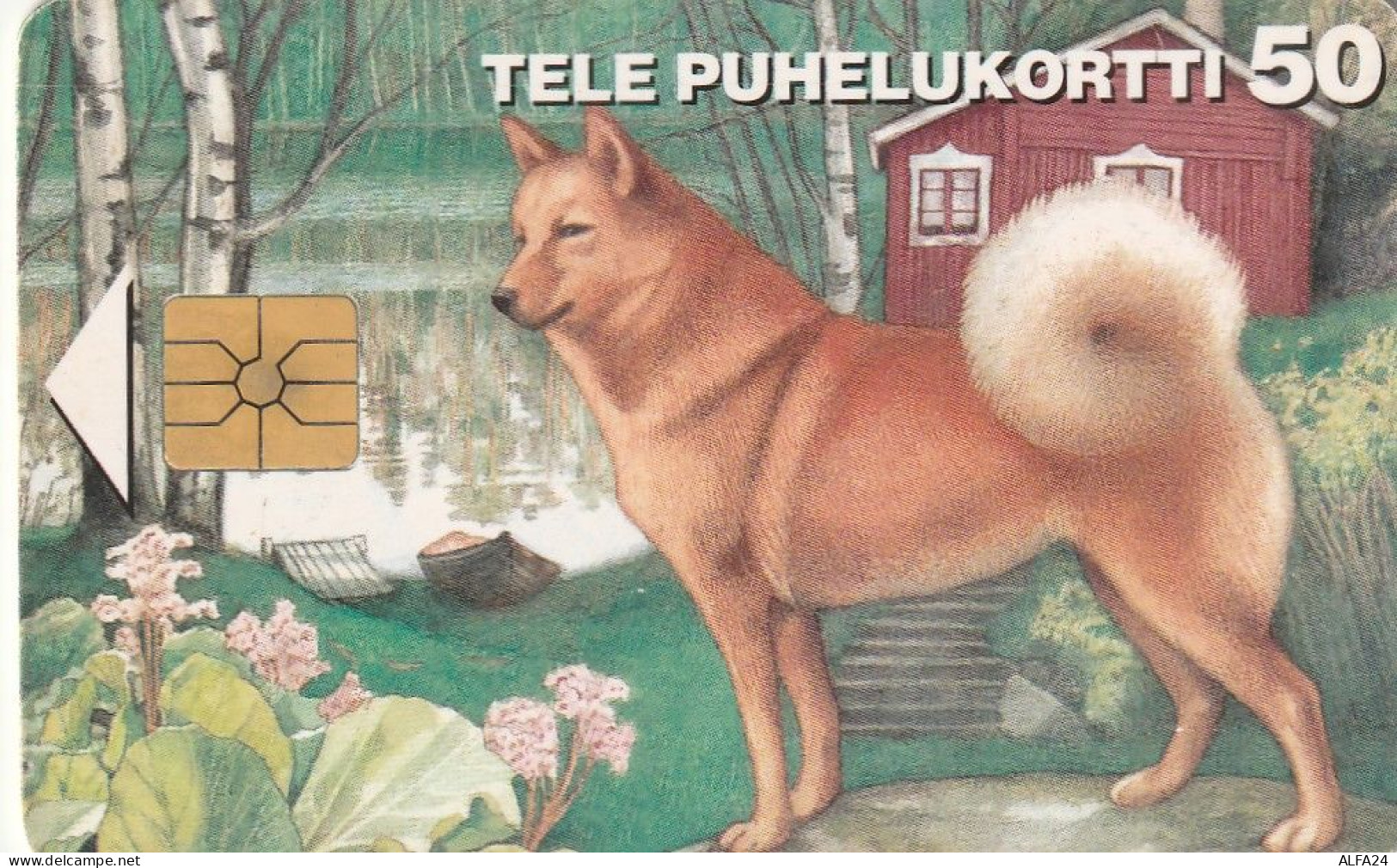 PHONE CARD FINLANDIA  (E4.12.8 - Finnland