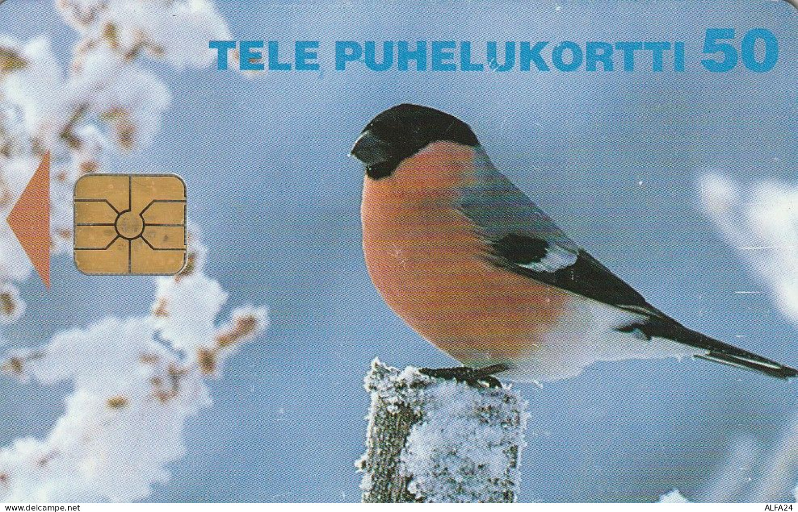 PHONE CARD FINLANDIA  (E4.10.5 - Finland