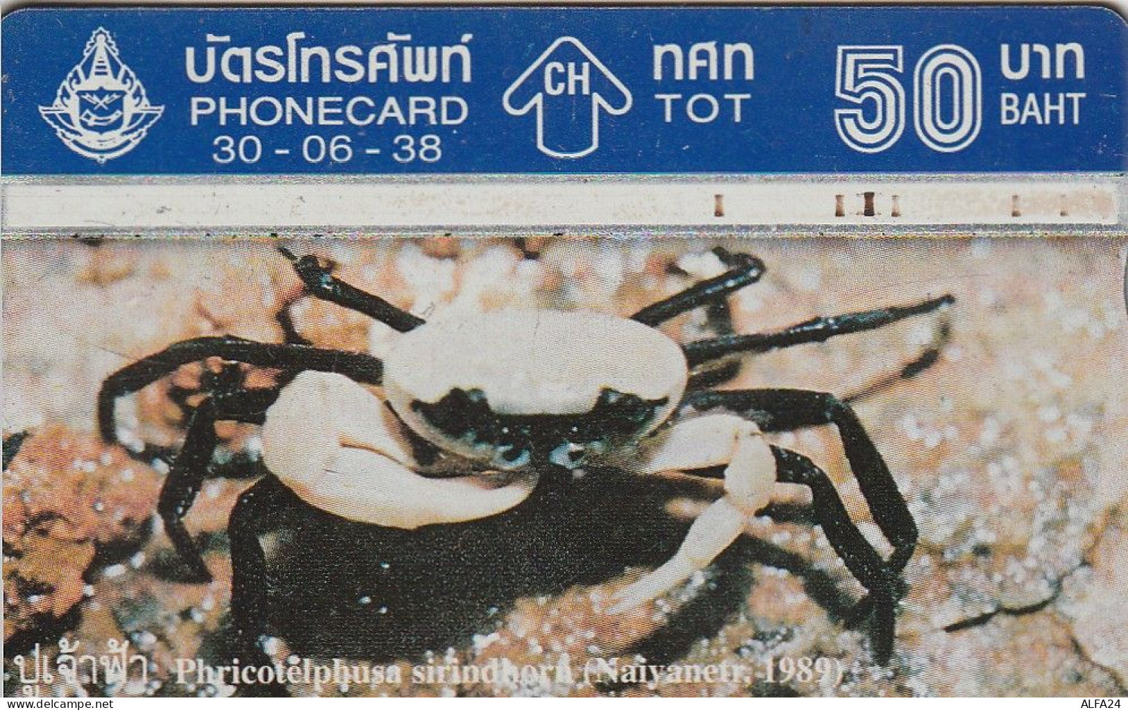 PHONE CARD TAILANDIA  (E5.19.7 - Thaïlande