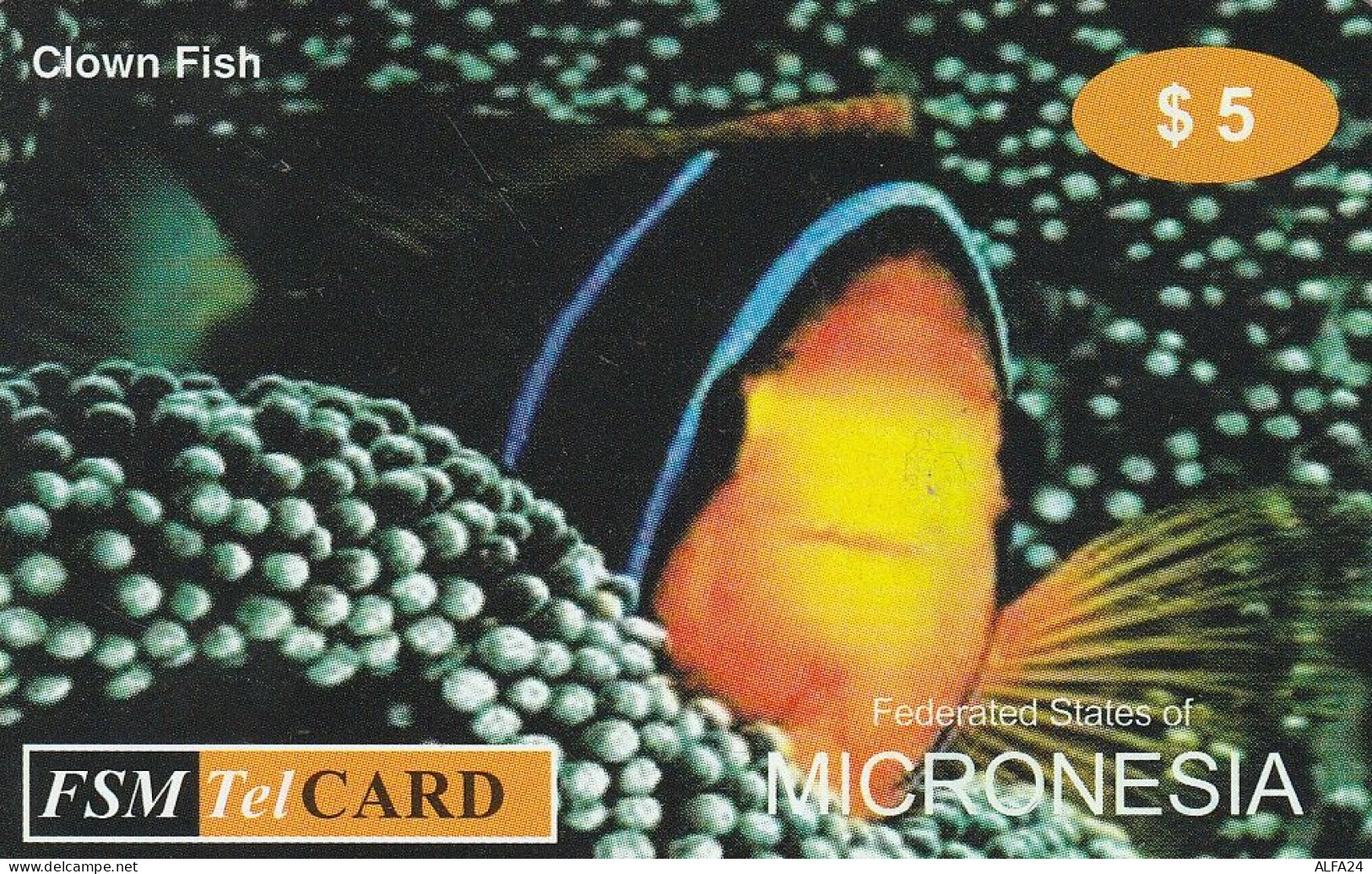 PREPAID PHONE CARD MICRONESIA  (E5.20.3 - Micronesia