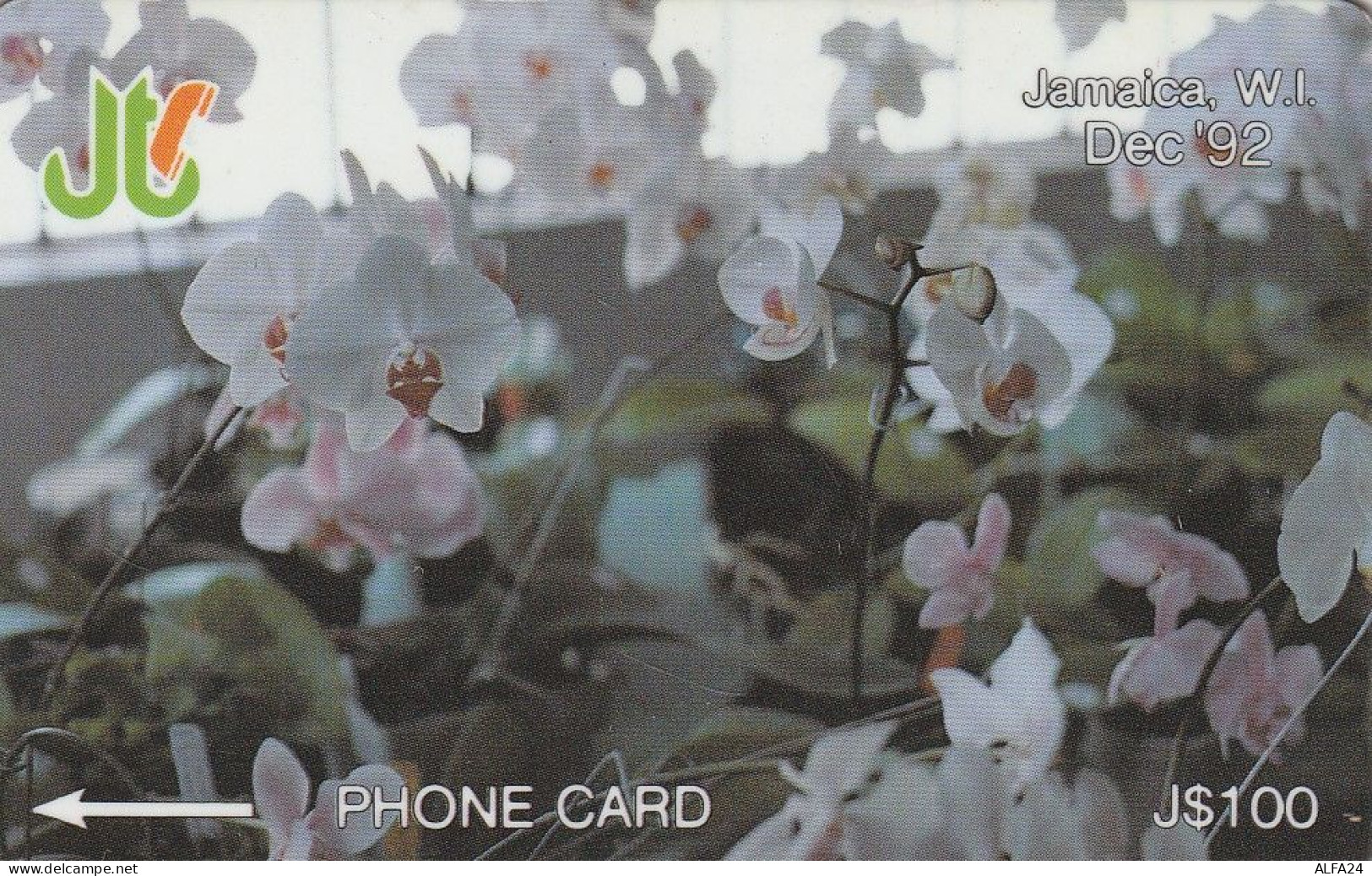 PHONE CARD GIAMAICA  (E5.17.3 - Jamaïque