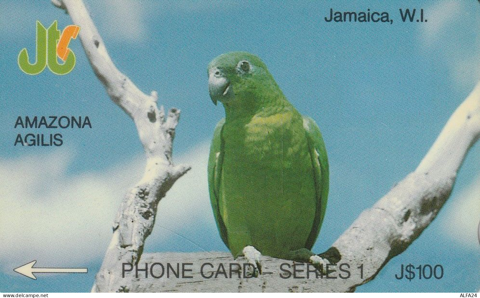 PHONE CARD GIAMAICA  (E5.17.1 - Jamaica