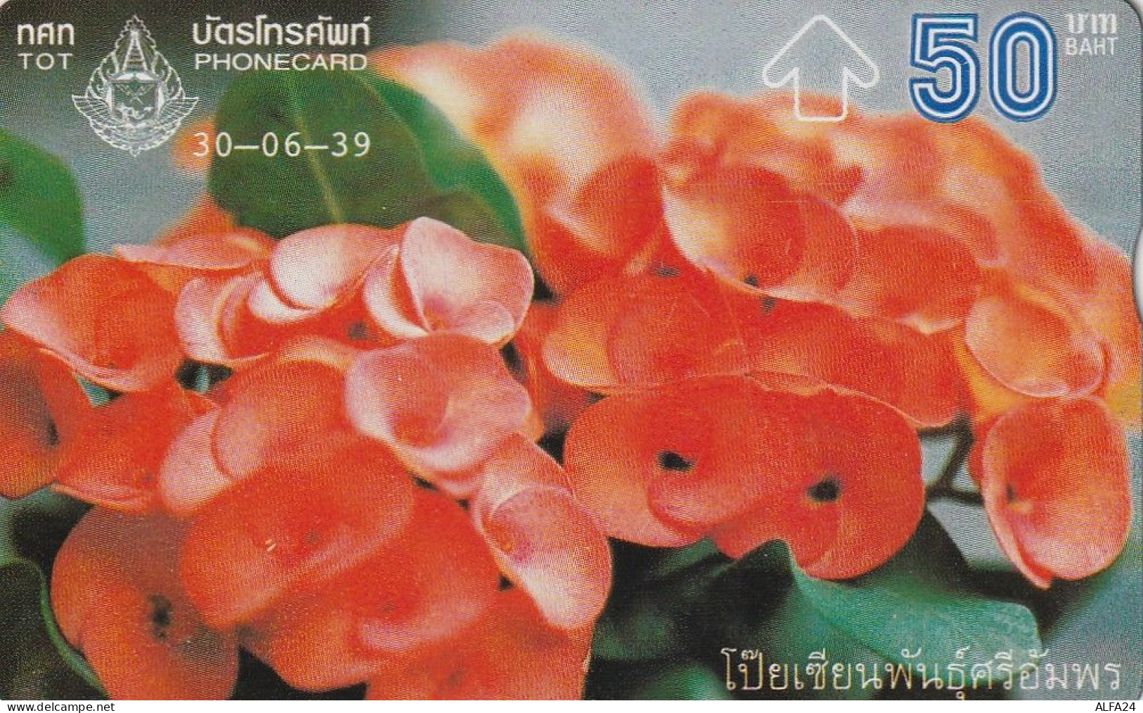 PHONE CARD TAILANDIA  (E5.11.8 - Thailand