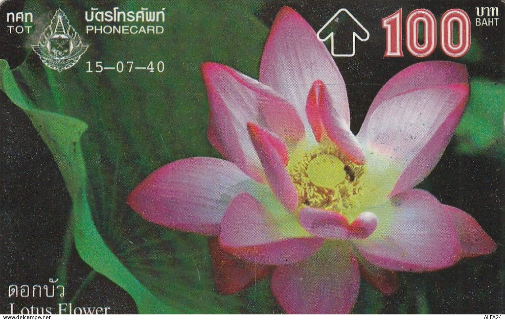 PHONE CARD TAILANDIA  (E5.11.6 - Thaïland