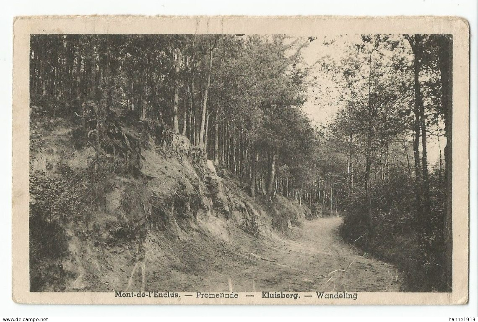 Mont De L' Enclus Dans Le Bois Kluisberg Cachet 1945 Amougies Htje - Mont-de-l'Enclus