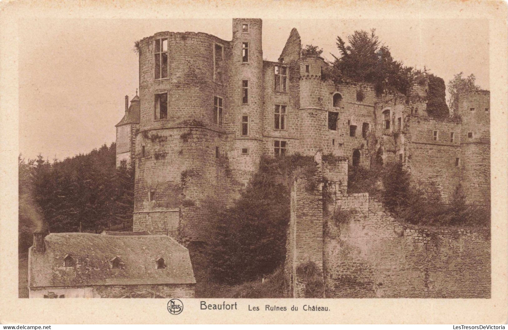 BELGIQUE - Beaufort - Les Ruines Du Château - Carte Postale Ancienne - Huy