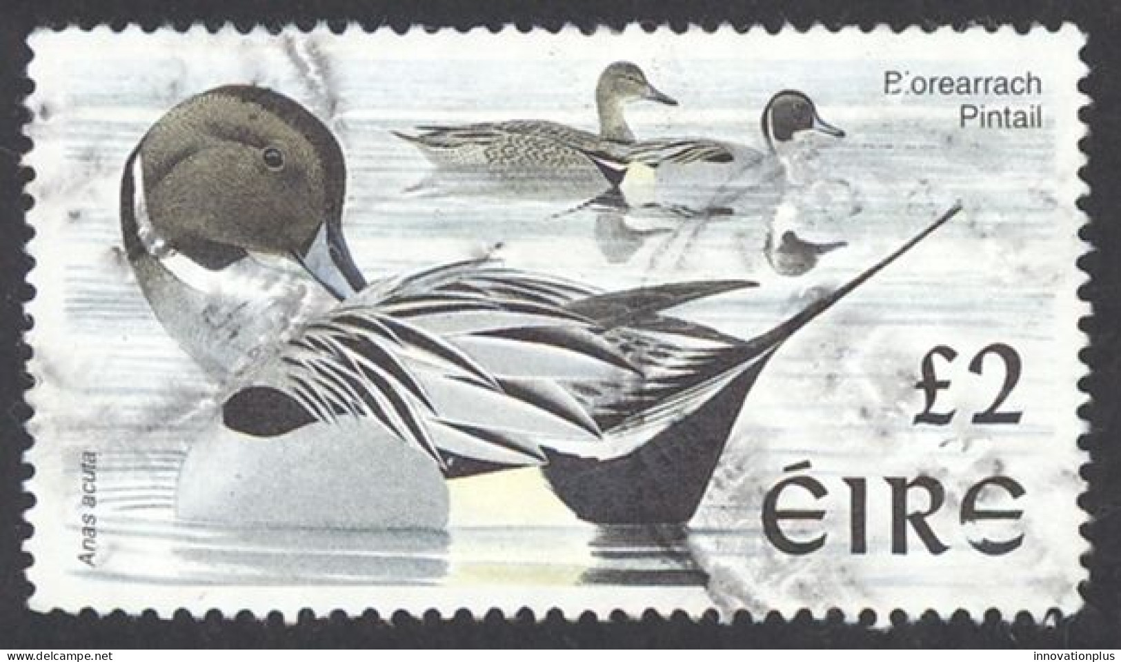 Ireland Sc# 1111 Used (a) 1998-1999 £2 Pintail - Oblitérés