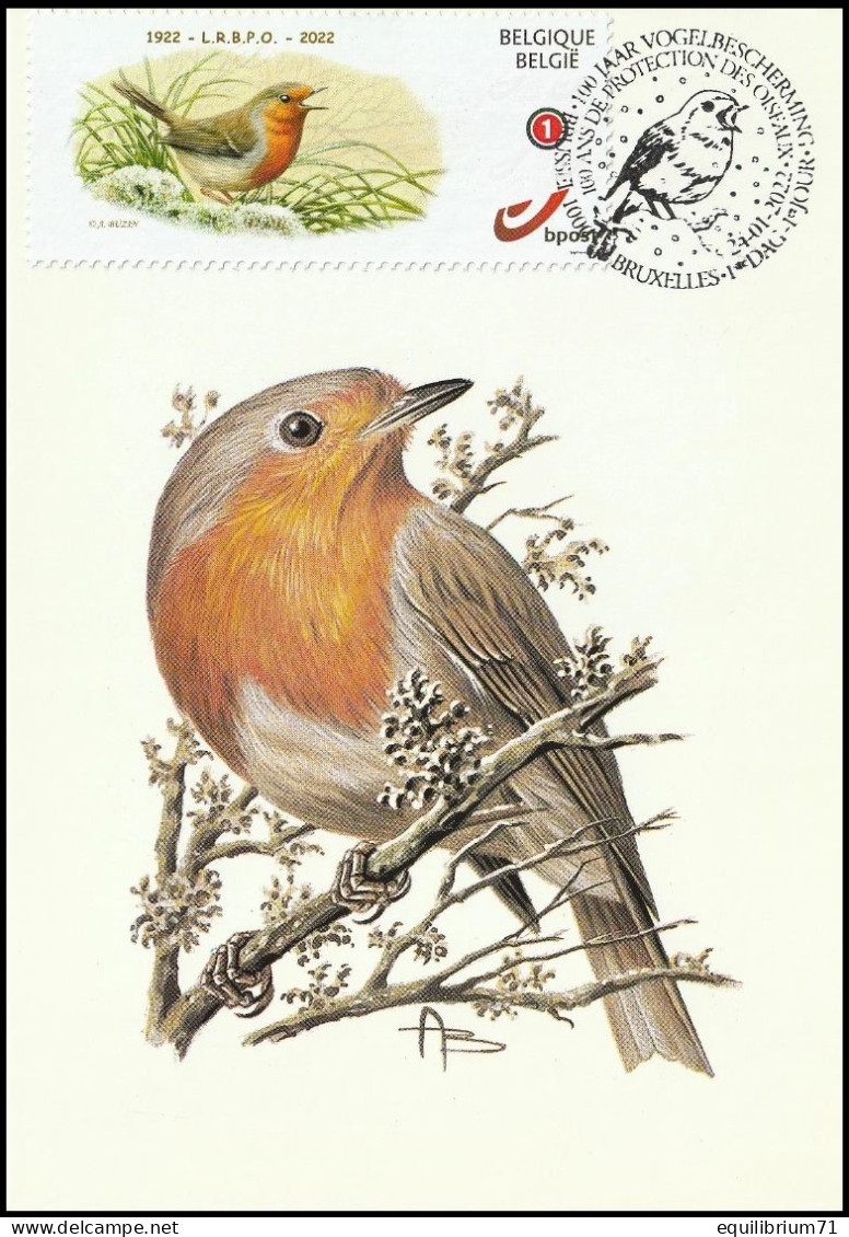 CM/MK - DUOSTAMP/MYSTAMP° - Rouge Gorge / Roodborstje / Rote Kehle / Red Throat (Erithacus Rubecula) - BUZIN - Briefe U. Dokumente