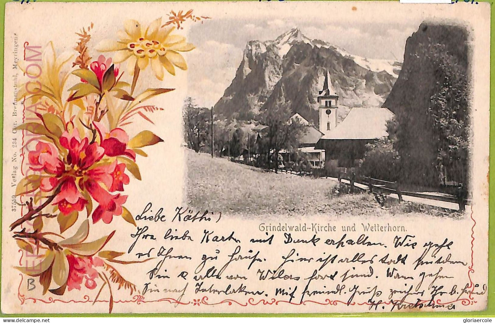 Ad5332 - SWITZERLAND  Schweitz - Ansichtskarten VINTAGE POSTCARD-Wetterhorn-1905 - Horn