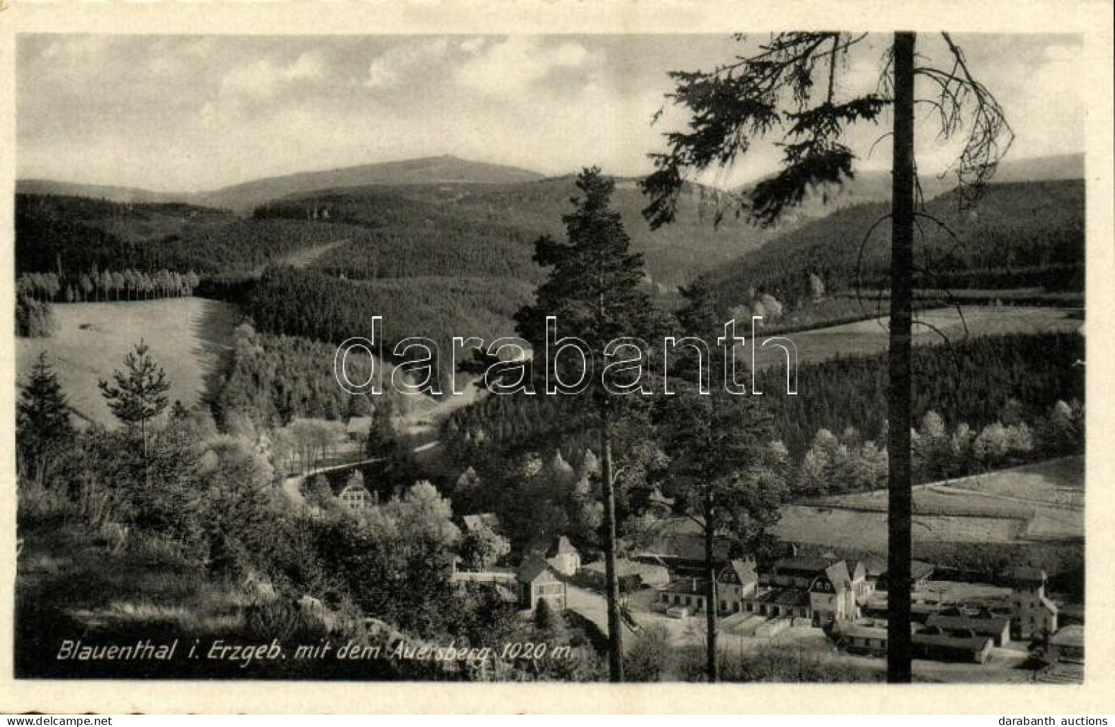 * T1 1955 Blauenthal (Eibenstock) Im Erzgebirgskreis Mit Dem Auersberg / General View, Mountain + 800-Jahr-Feier Eibenst - Ohne Zuordnung
