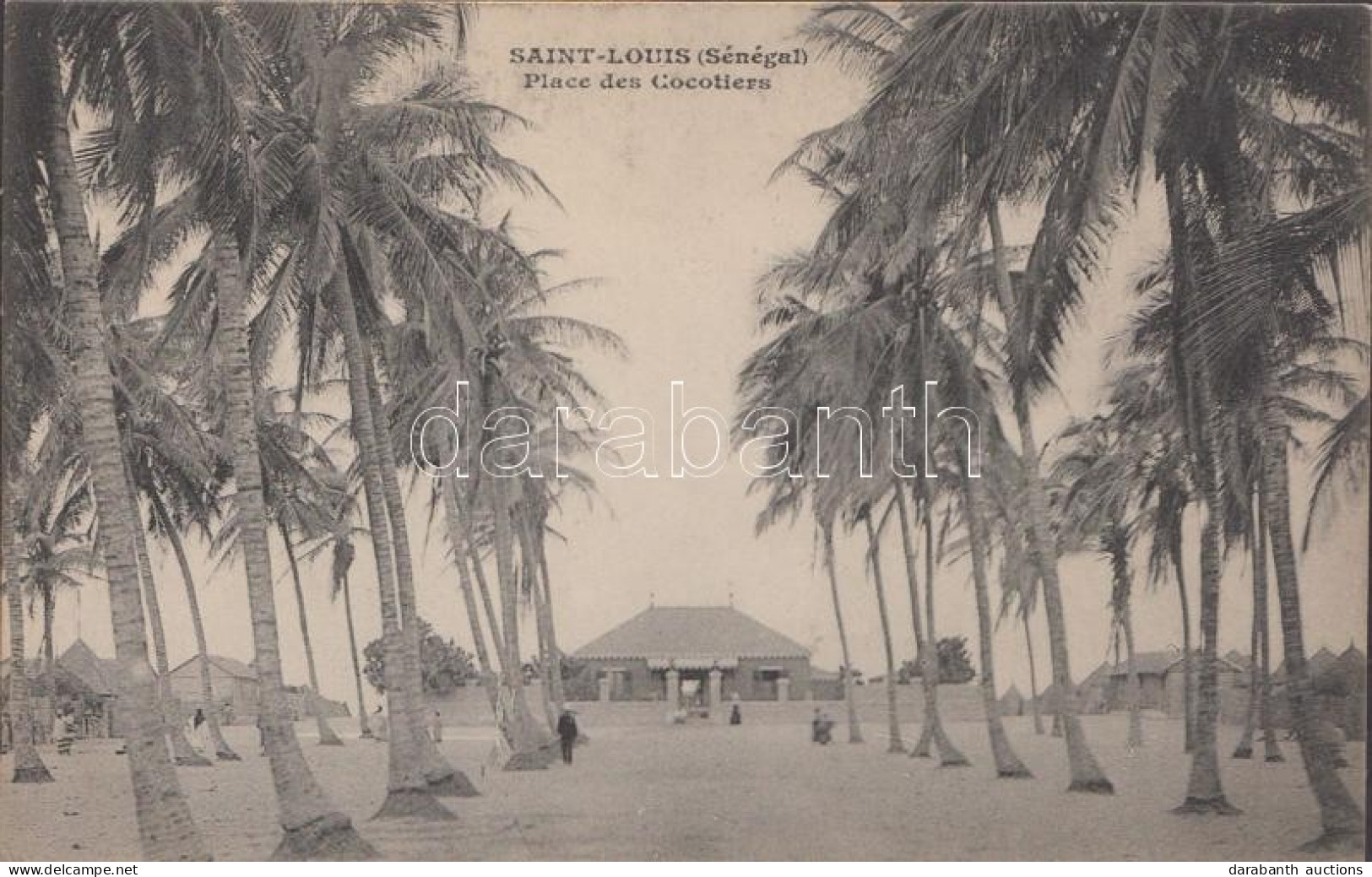 ** T1/T2 Saint-Louis, Place Des Cocotiers / Square, Coconut Trees - Non Classificati