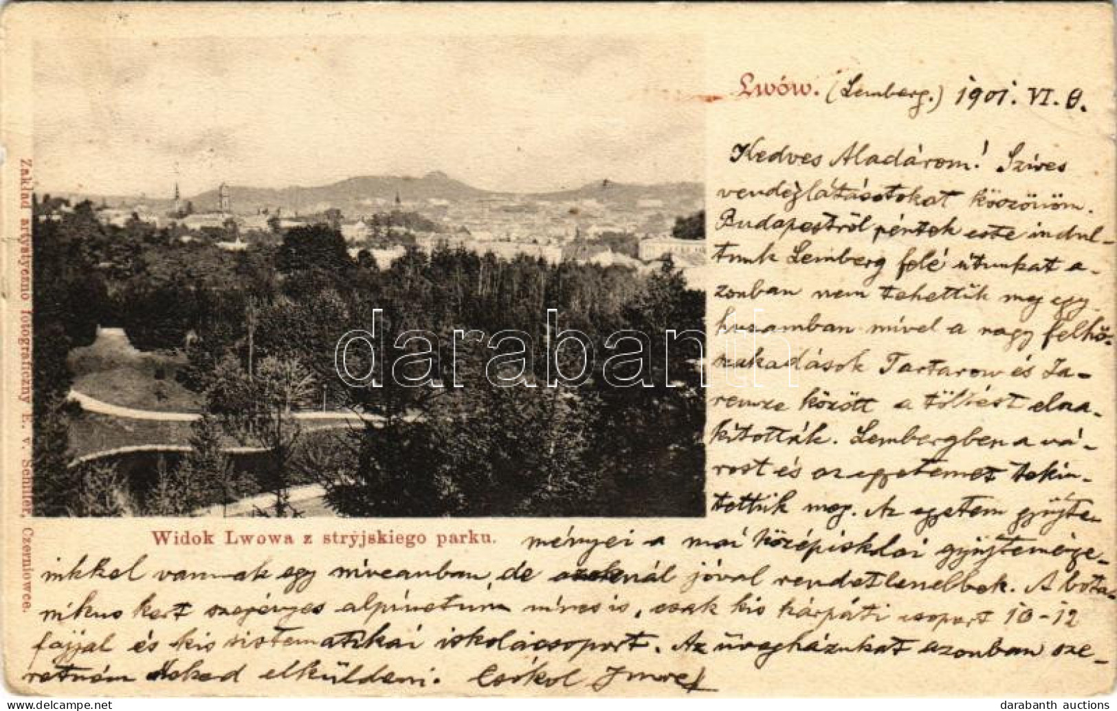 T2/T3 1901 Lviv, Lwów, Lemberg; Widok Lwowa Z Stryjskiego Parku / General View, Park (EK) - Unclassified