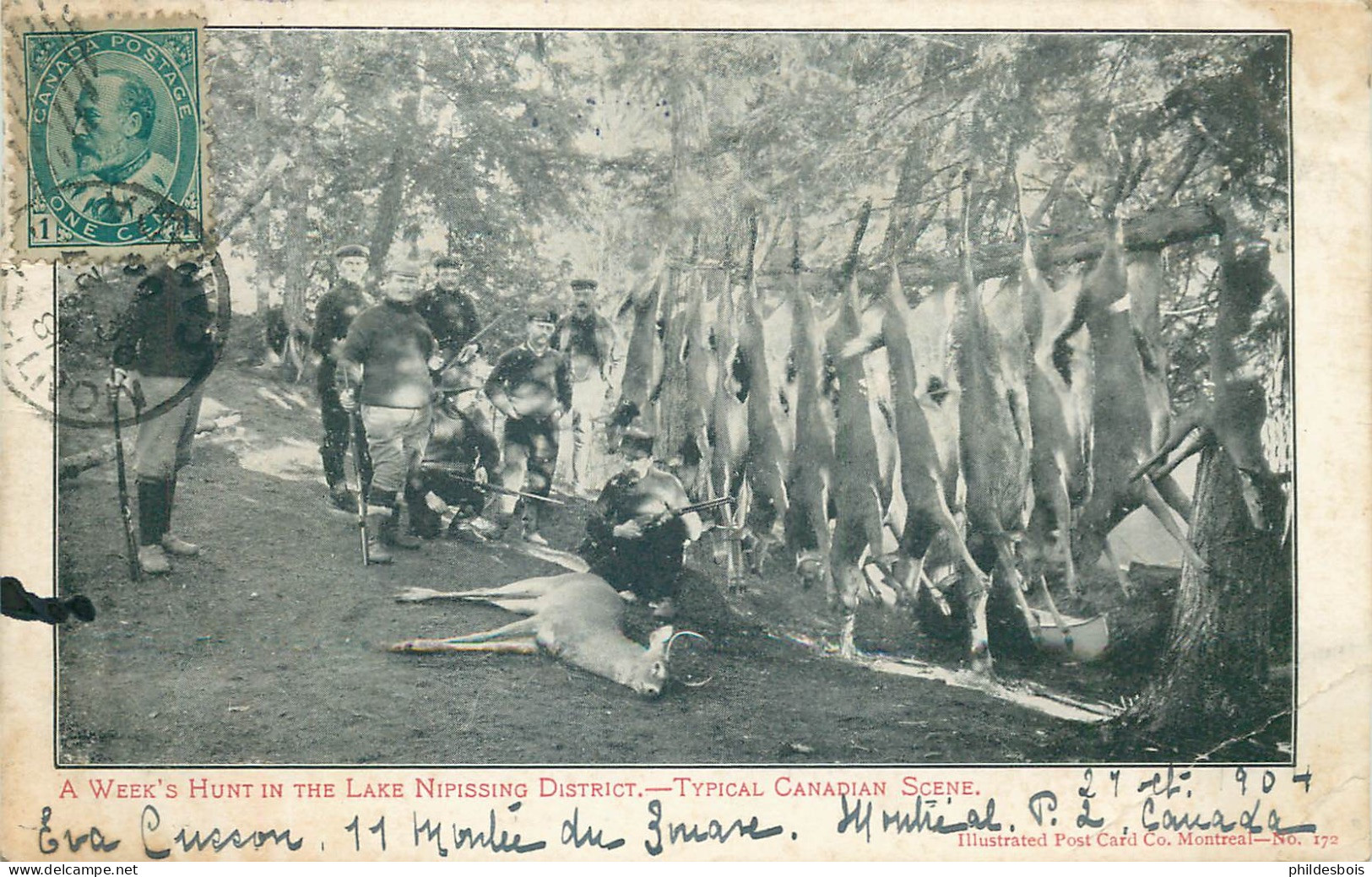 CANADA   A Week's Hunt In The Lake Nipissing District  Typical Canadian Scene  (chasse A Tir ) - Montreal