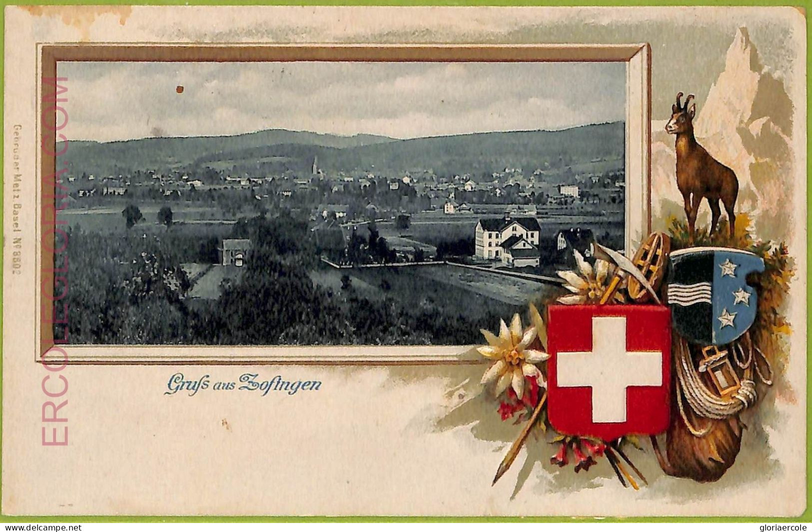 Ad5360 - SWITZERLAND - Ansichtskarten VINTAGE POSTCARD - Gruss Aus Zofingen-1901 - Zofingen