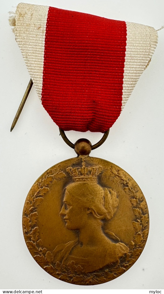 Médaille Décoration Du Comité National De Secours D'alimentation . En Souvenir De Sa Collaboration 1914-1918. - Belgium