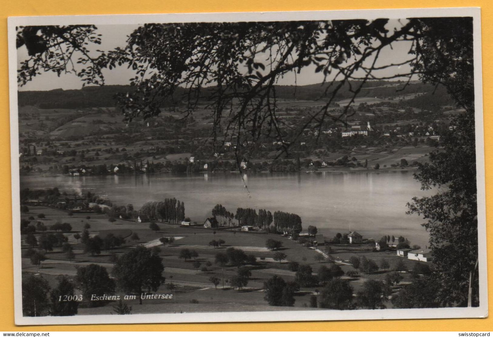 ESCHENZ Am Untersee - Eschenz