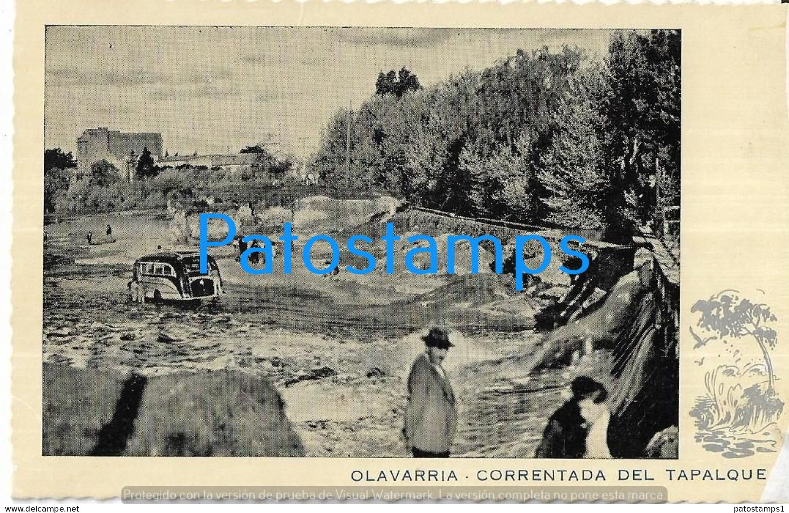 223034 ARGENTINA BUENOS AIRES OLAVARRIA CORRENTADA DEL TAPALQUE POSTAL POSTCARD - Argentine