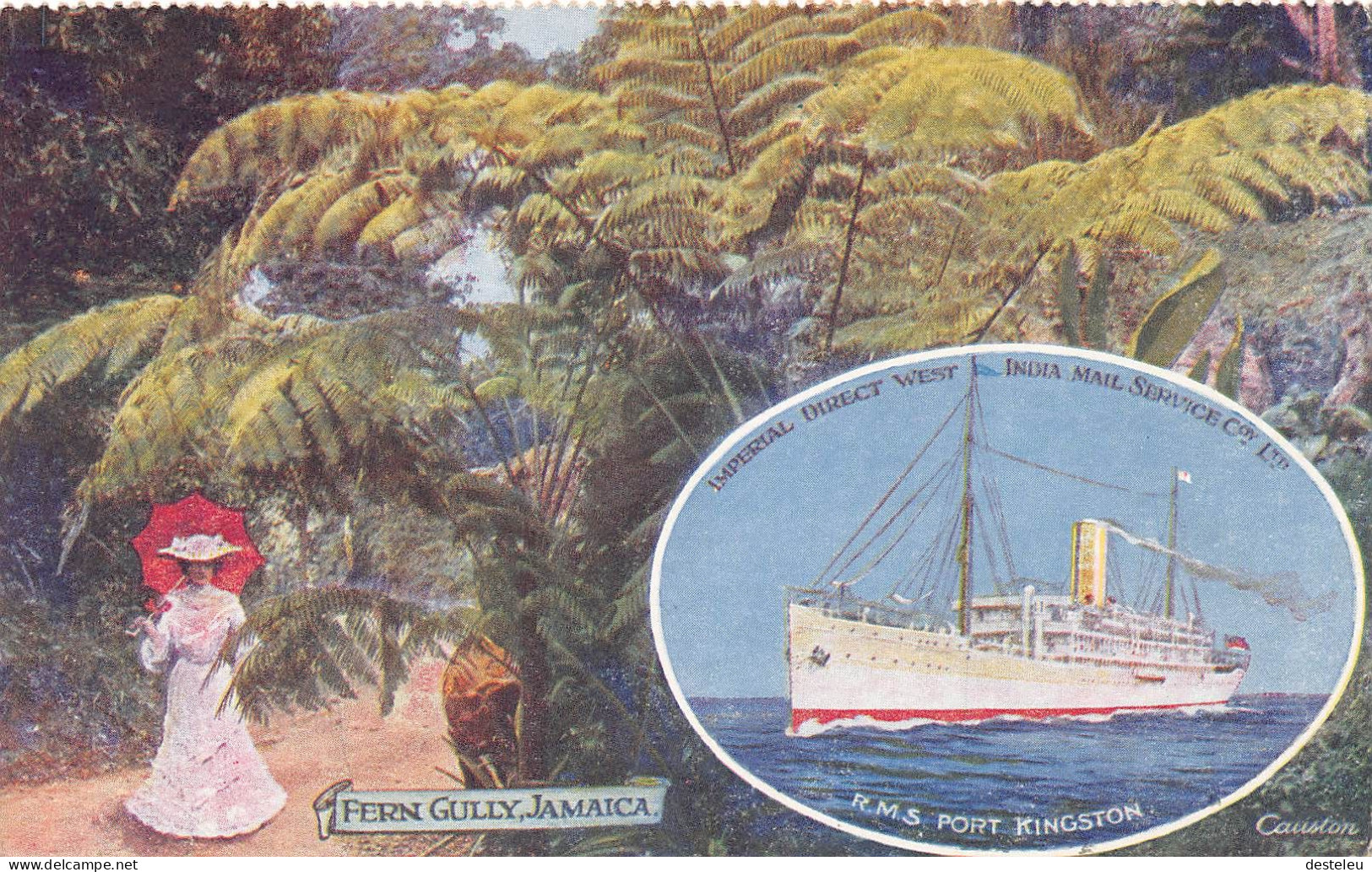 Fern Gully -  R.M.S.Port Kingston - Jamaica - Jamaica