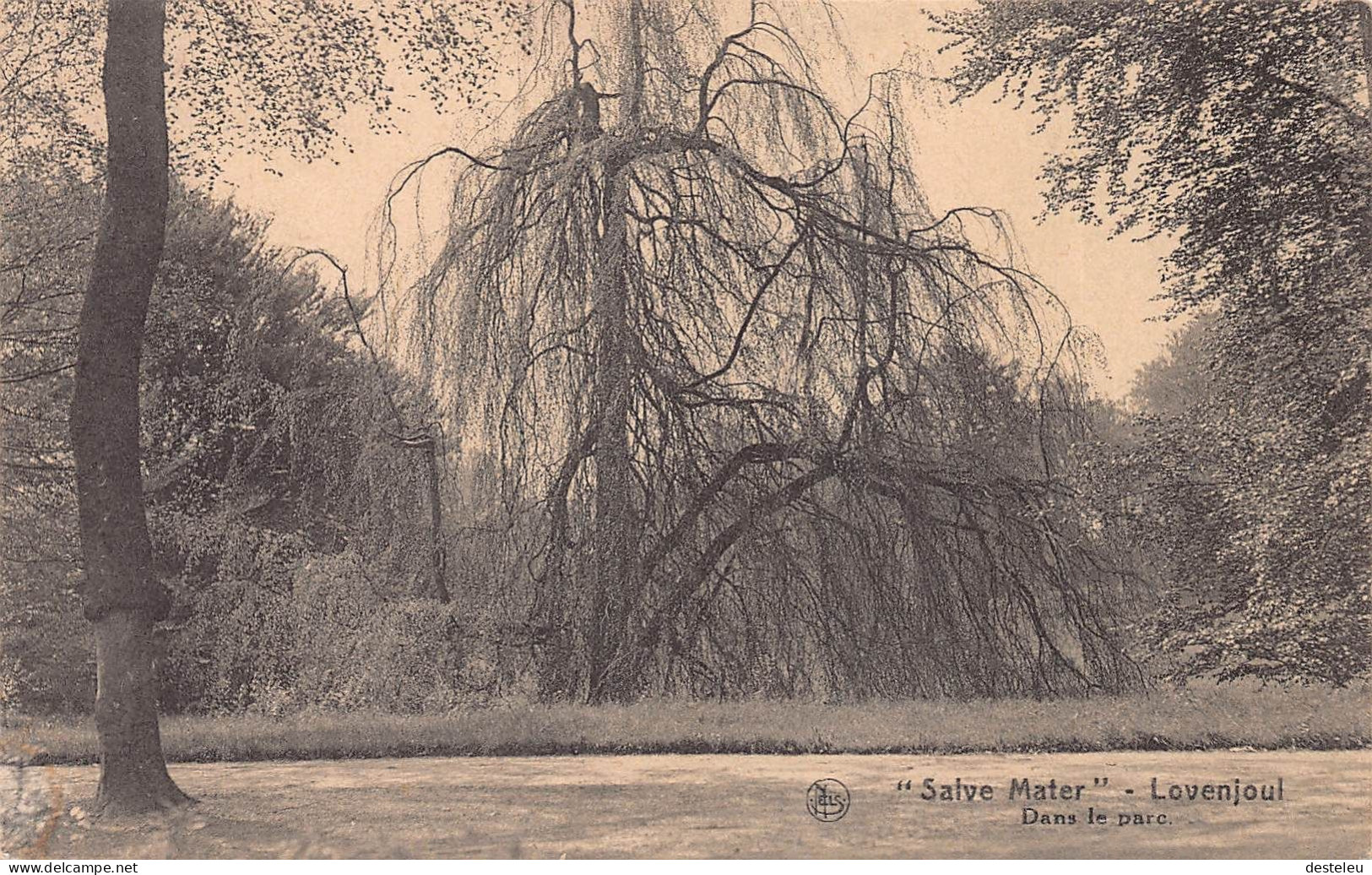 Salve Mater - Dans Le Parc   Lovenjoul - Lovenjoel - Bierbeek