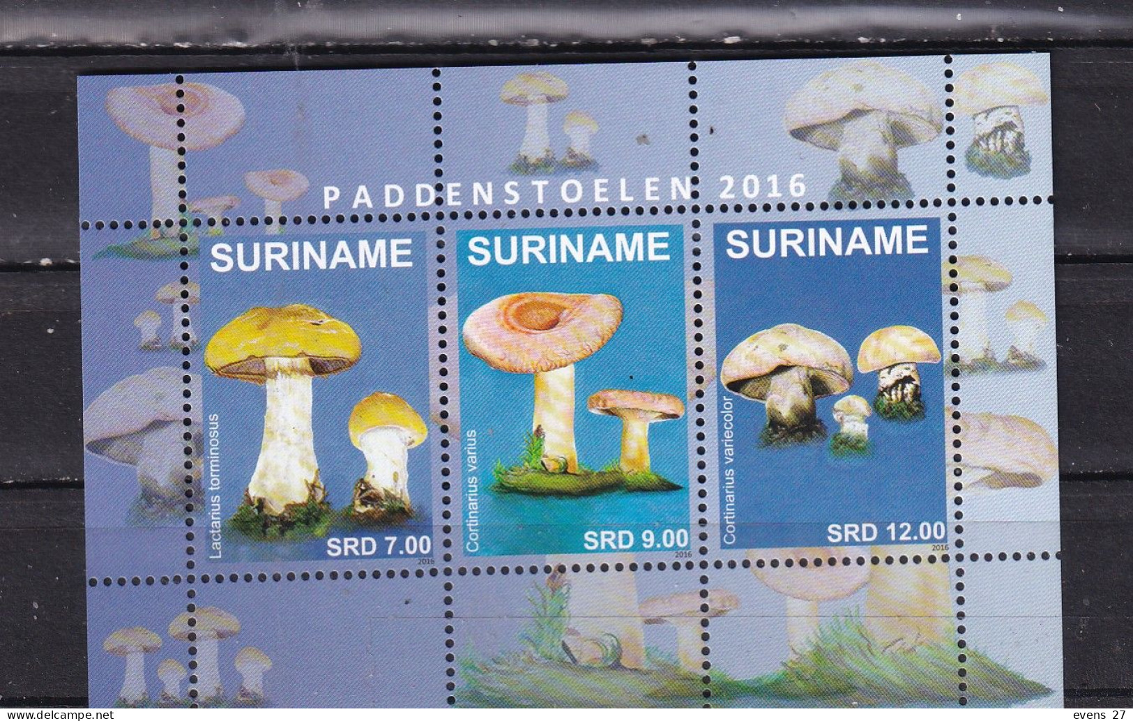 SURINAM-2016-MUSHROOMS- MNH- - Suriname