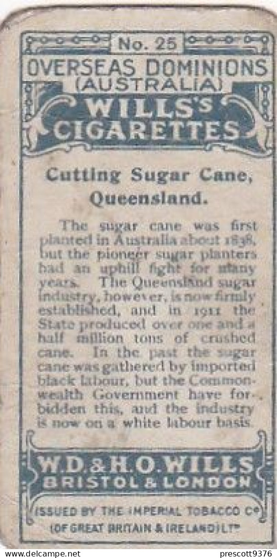 25 Sugar Cane Cutting, Queensland  - Australia O/S Dominions 1915 -  Wills Cigarette Card -   - Antique - 3x7cms - Wills