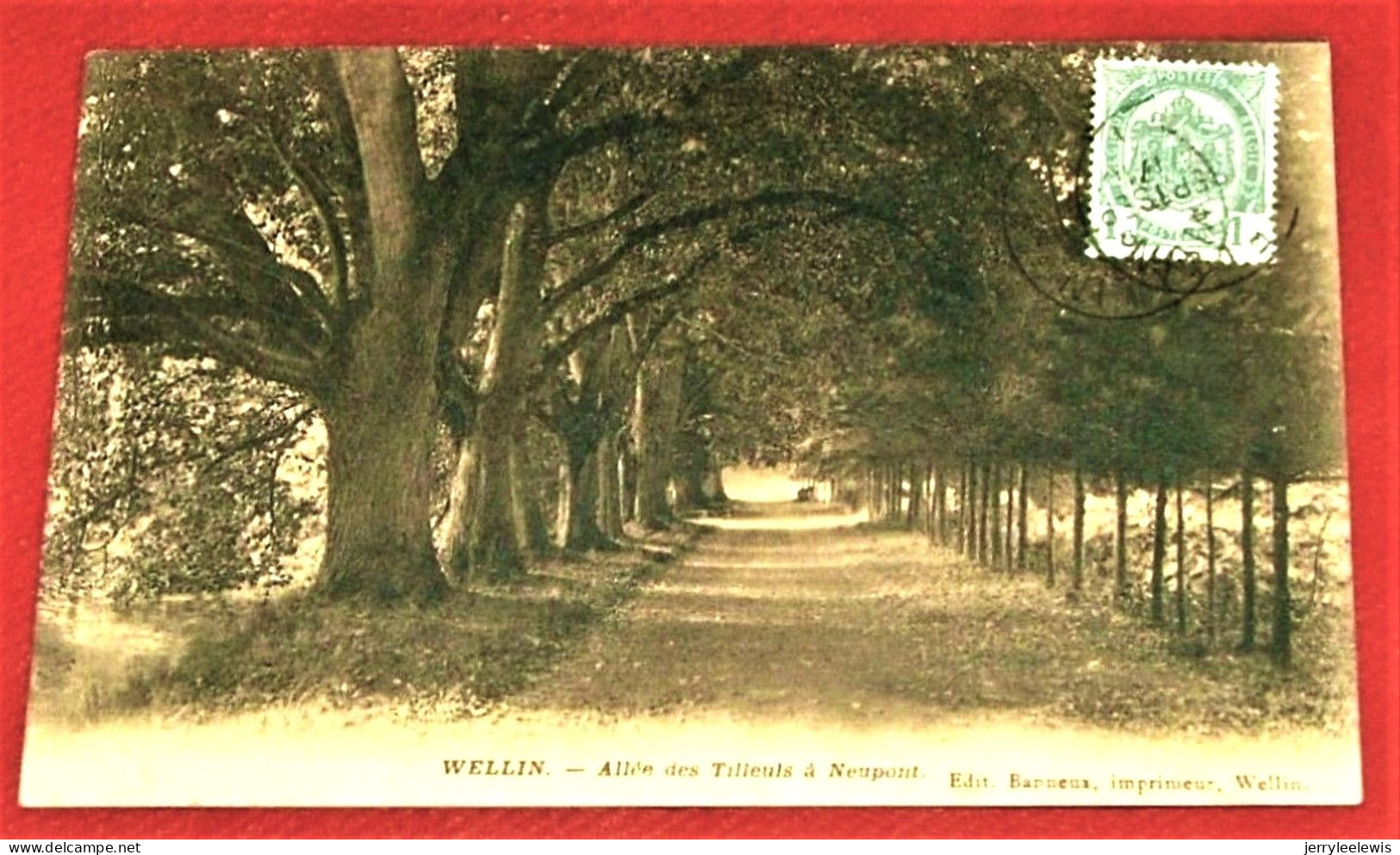 WELLIN -  Allée Des Tilleuls  à Neupont   -  1910 - Wellin