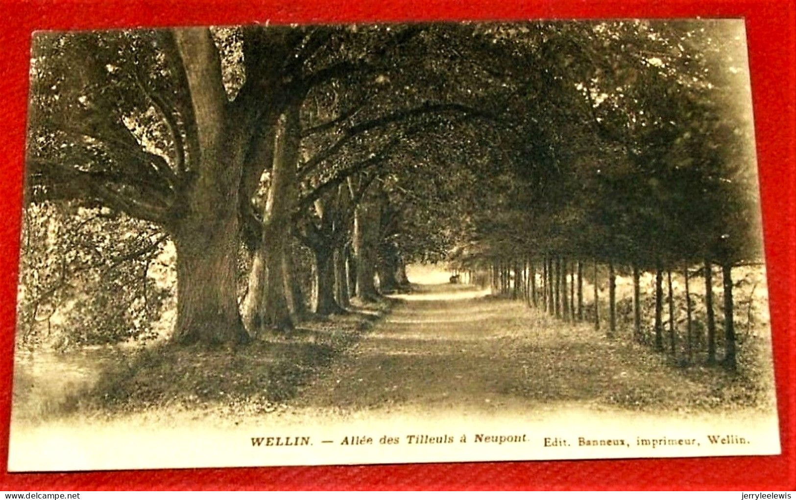 WELLIN -  Allée Des Tilleuls  à Neupont - Wellin