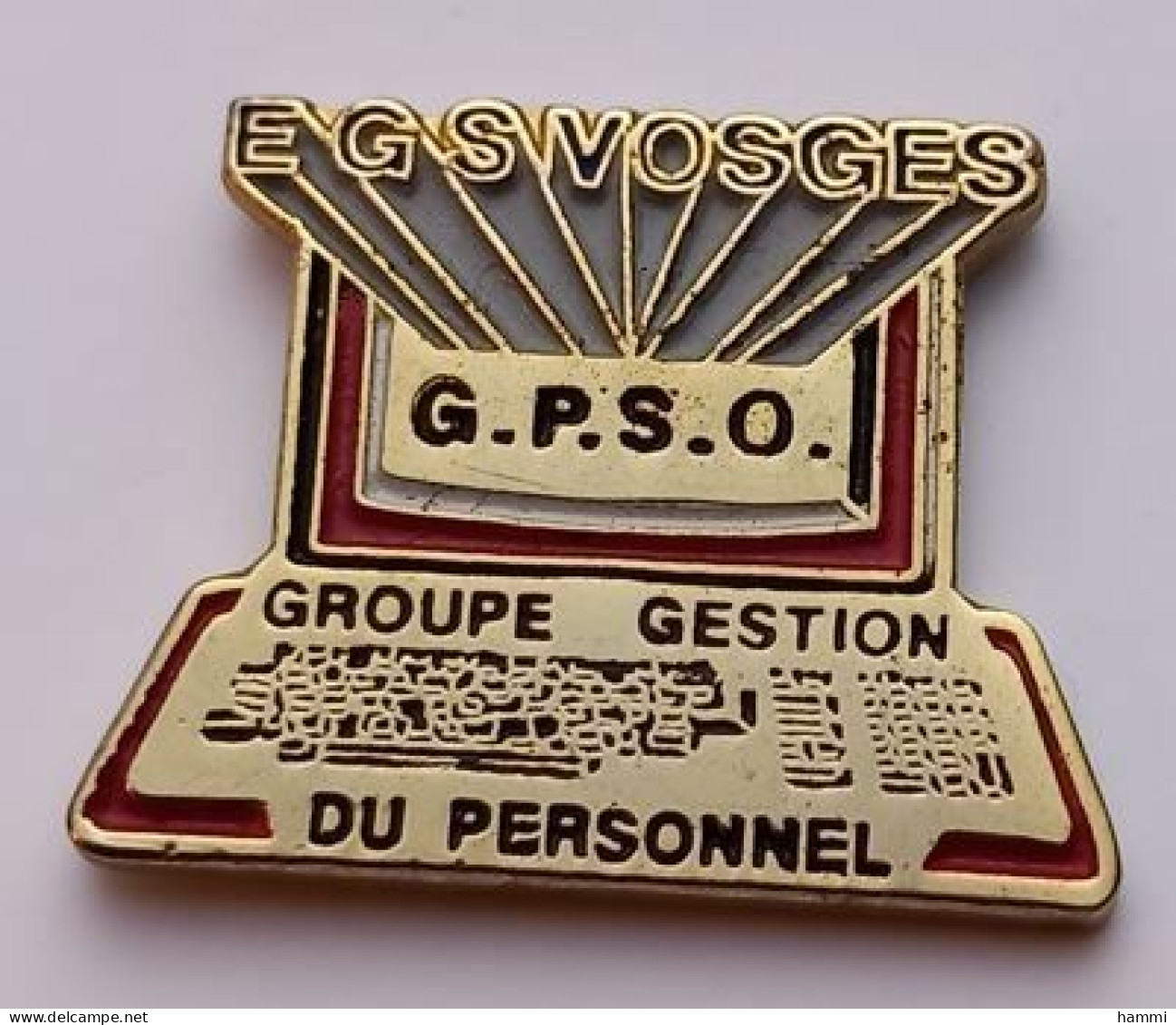 D408 Pin's G.P.S.O Vosges E.G.S. à Epinal Alarmes Groupe Gestion Du Personnel Computer Ordinateur Achat Immédiat - Informatica
