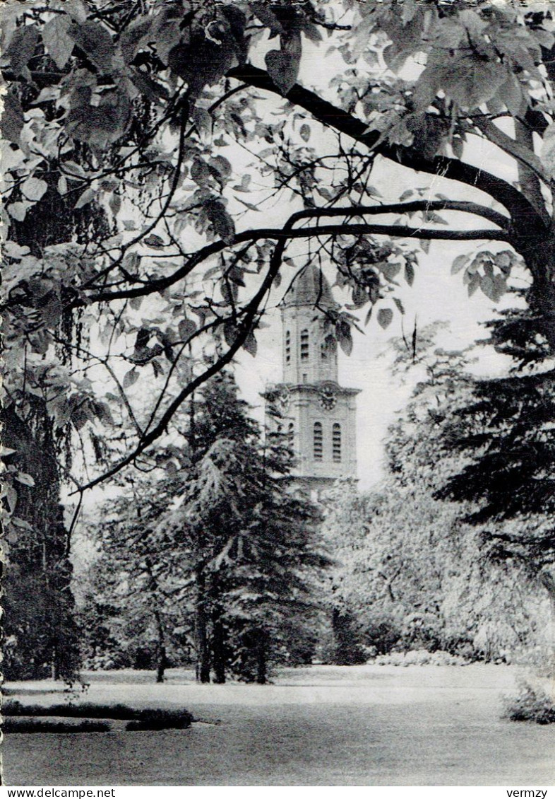 LOKEREN : Instituut Der Zusters Van Liefde " St Benedictusgesticht " - In De Tuin . Zicht Op De Stadskerk - Photo Vérita - Lokeren