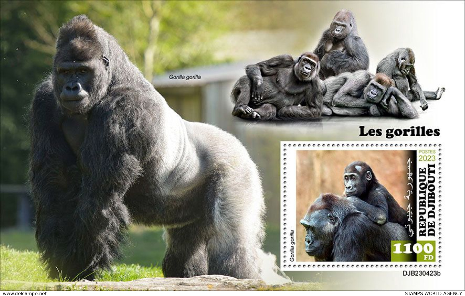 2024-01 - DJIBOUTI- GORILLAS       1V  MNH** - Gorillas