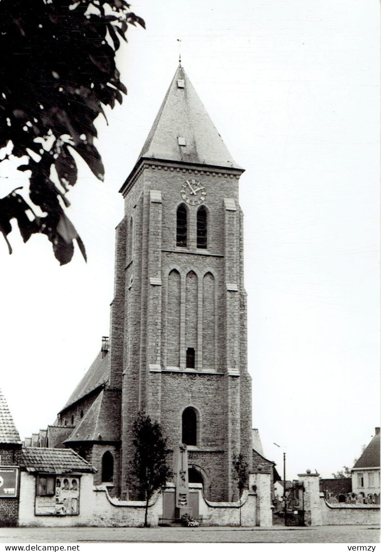 WORTEGEM : Kerk - Photo Véritable - Wortegem-Petegem