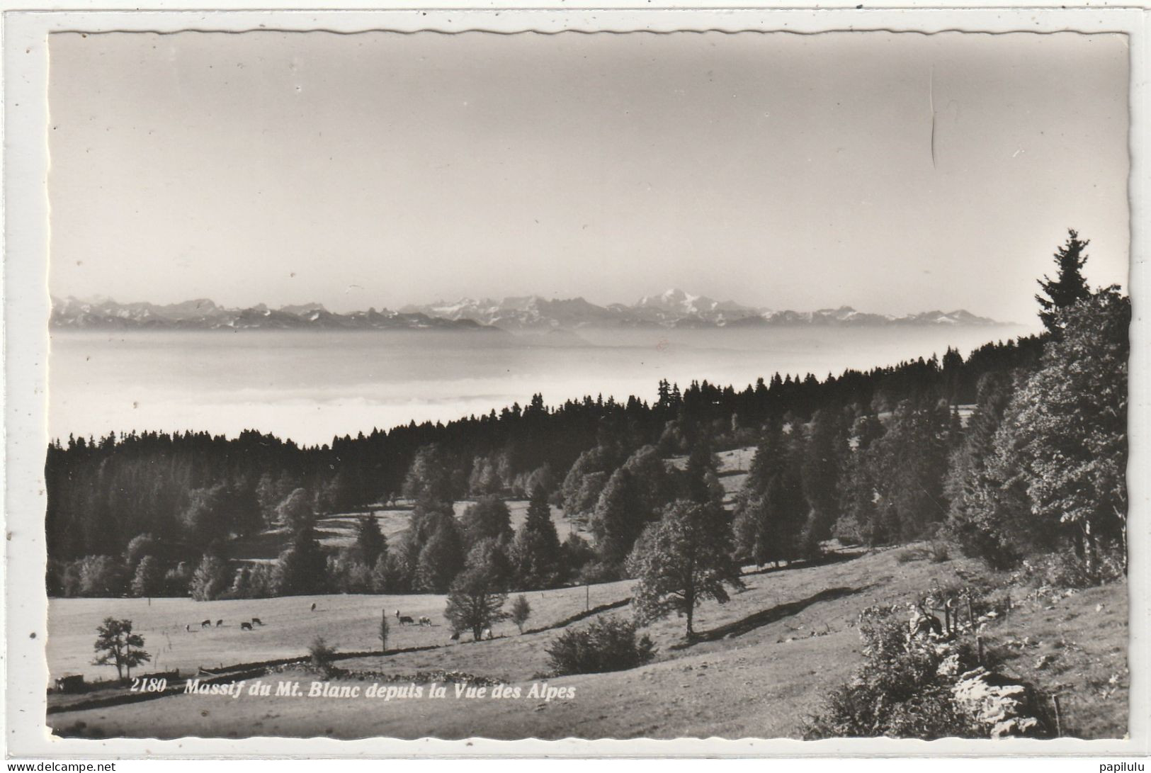 SUISSE 163 : Massif Du Mont Blanc Depuis L'hôtel De La Vue Des Alpes : édit. R Jeanneret Danner N° 2180 - Autres & Non Classés