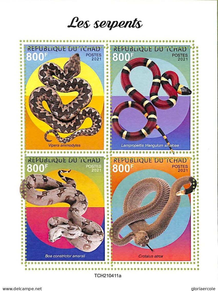 A9593 - TCHAD -  ERROR MISPERF Stamp Sheet - 2021 - Snakes, Reptiles & Amphibian - Serpents