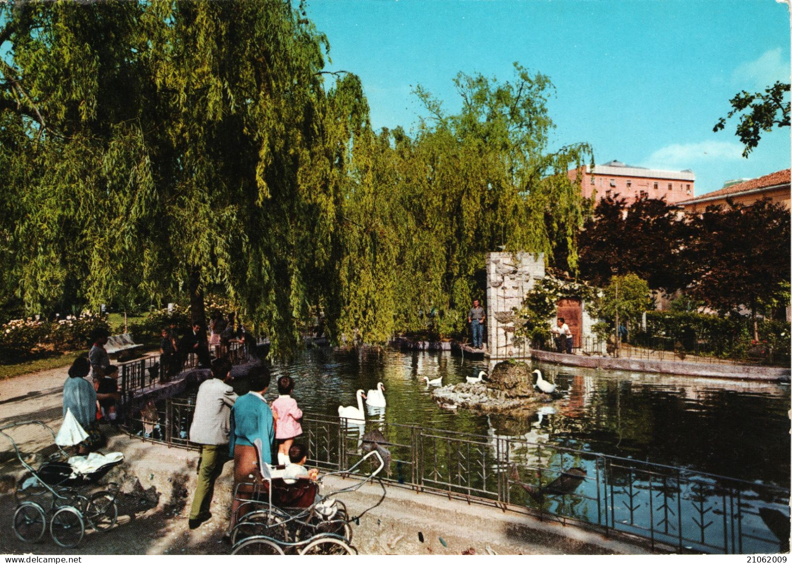 ISERNIA - VILLA COMUNALE - LAGHETTO, ANIMATA - CIGNI SWANS CYGNES - V1969 - Isernia