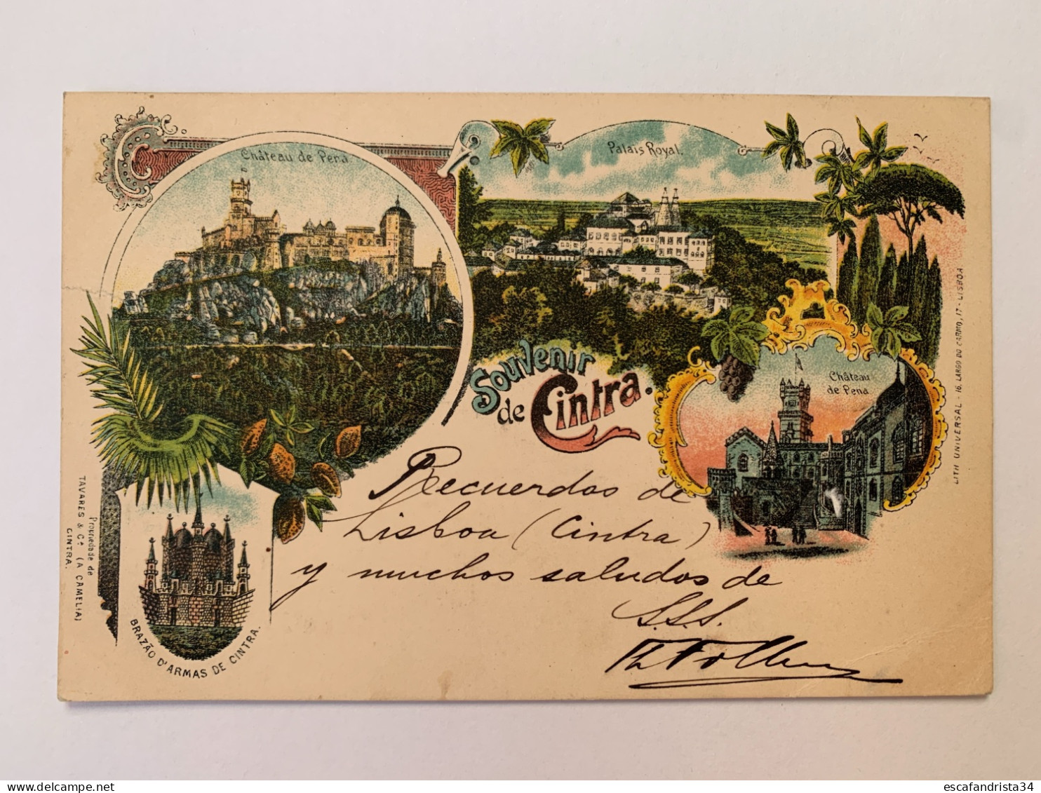 Souvenir De Cintra - Gruss Litho - Portugal - Beja