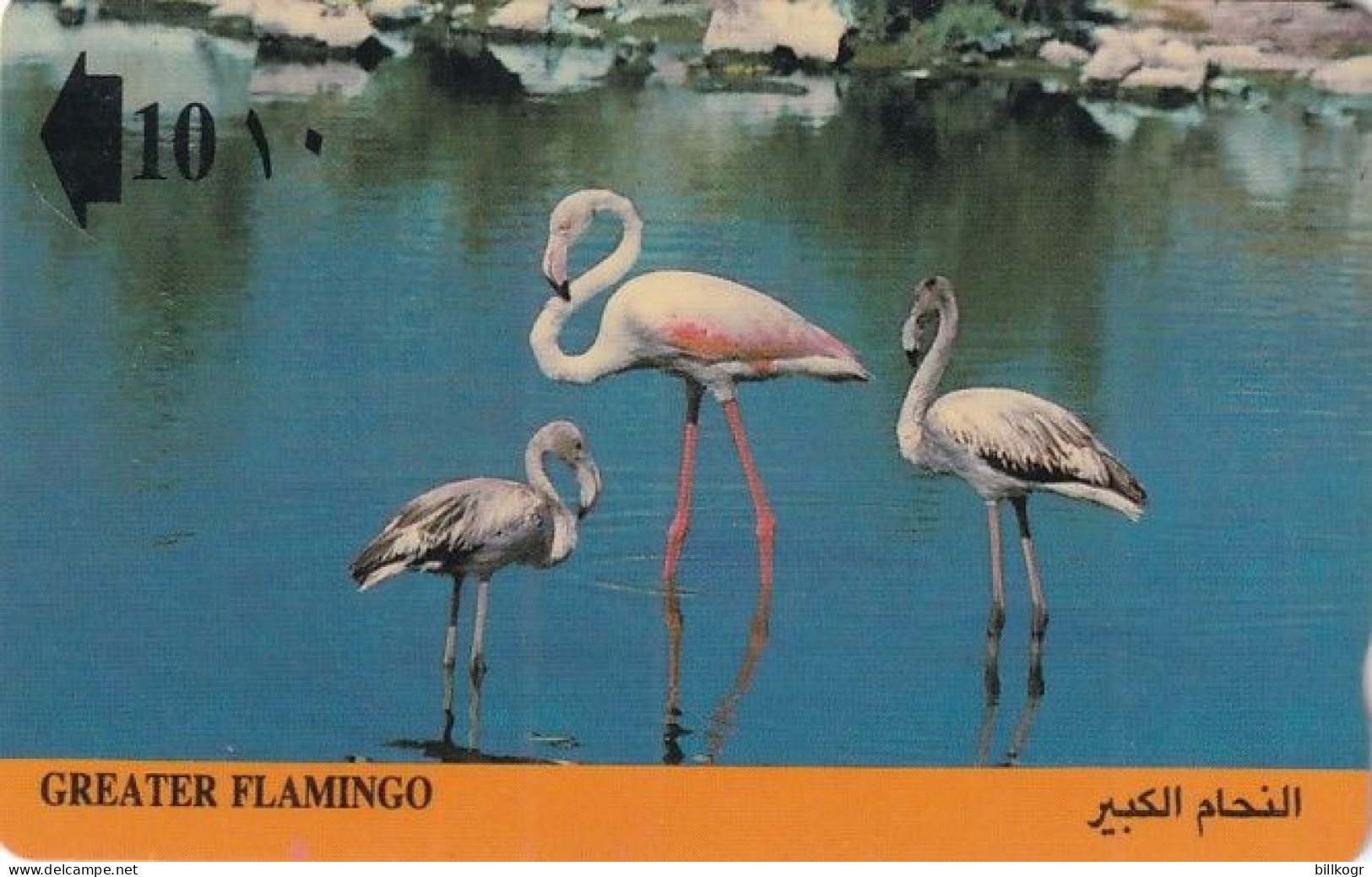 OMAN(GPT) - Greater Flamingo, CN : 7OMNC/B, Tirage 20000, 11/91, Used - Oman