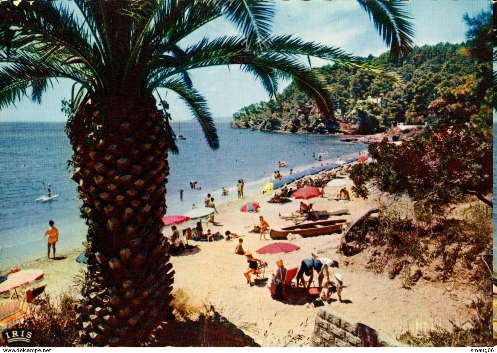 83 - LA RAYOL - UN COIN DE LA PLAGE - Rayol-Canadel-sur-Mer