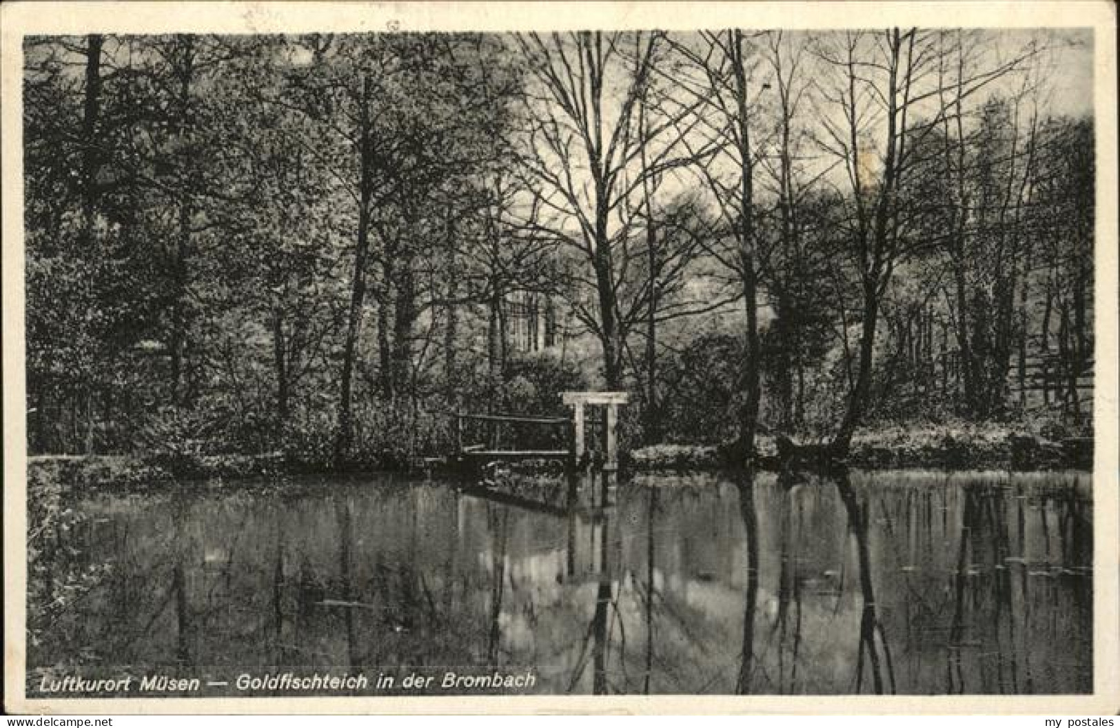 41323091 Muesen Goldfischteich I.d.Brombach Hilchenbach - Hilchenbach