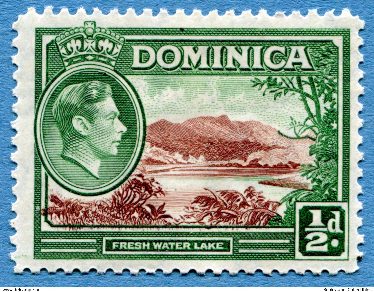 DOMINICA - ½ Penny 1938-1947 - Michel #93 * Rif. A-05 - Dominica (...-1978)