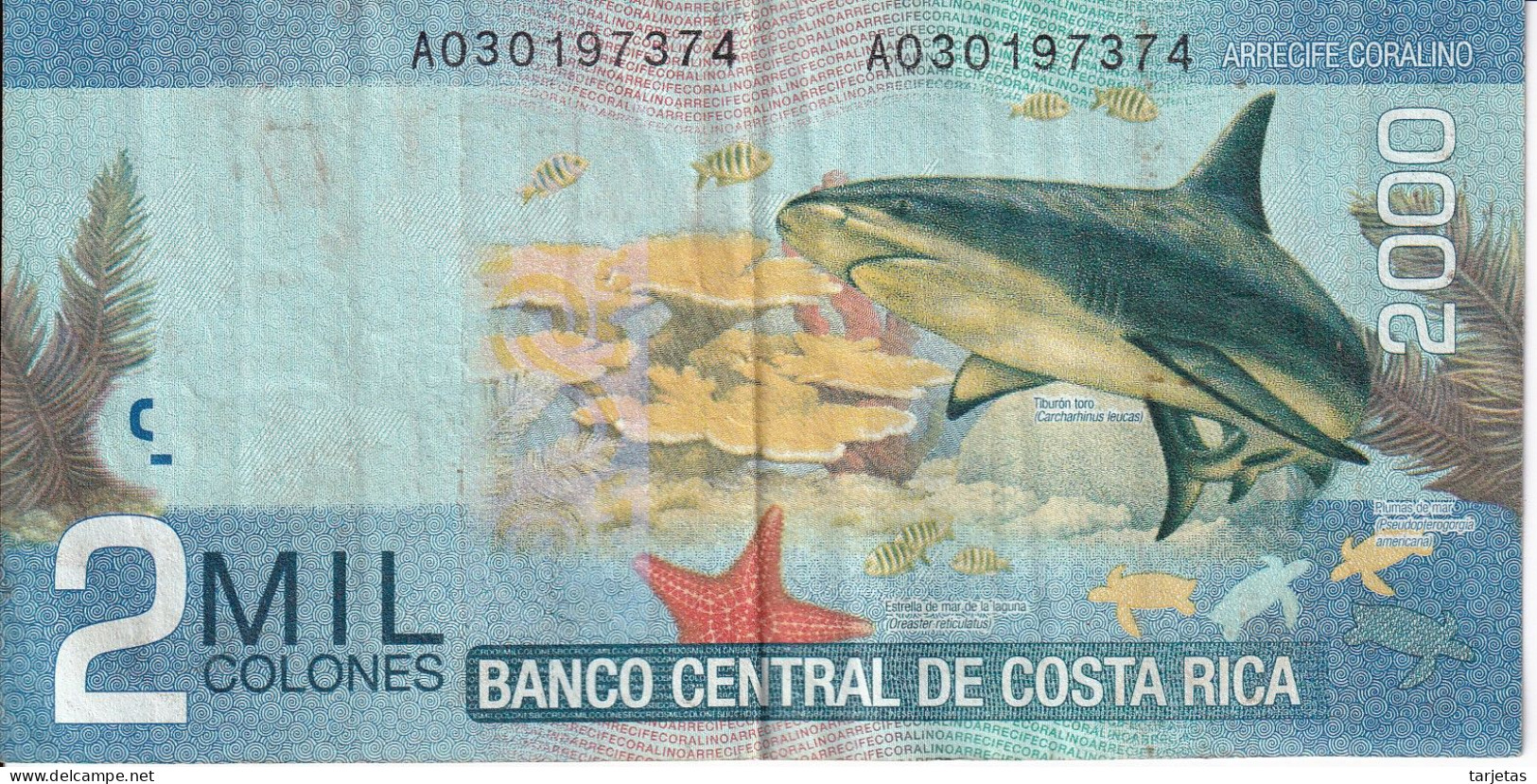 BILLETE DE COSTA RICA DE 2000 COLONES AÑO 2009 (BANKNOTE) TIBURON-SHARK - Costa Rica
