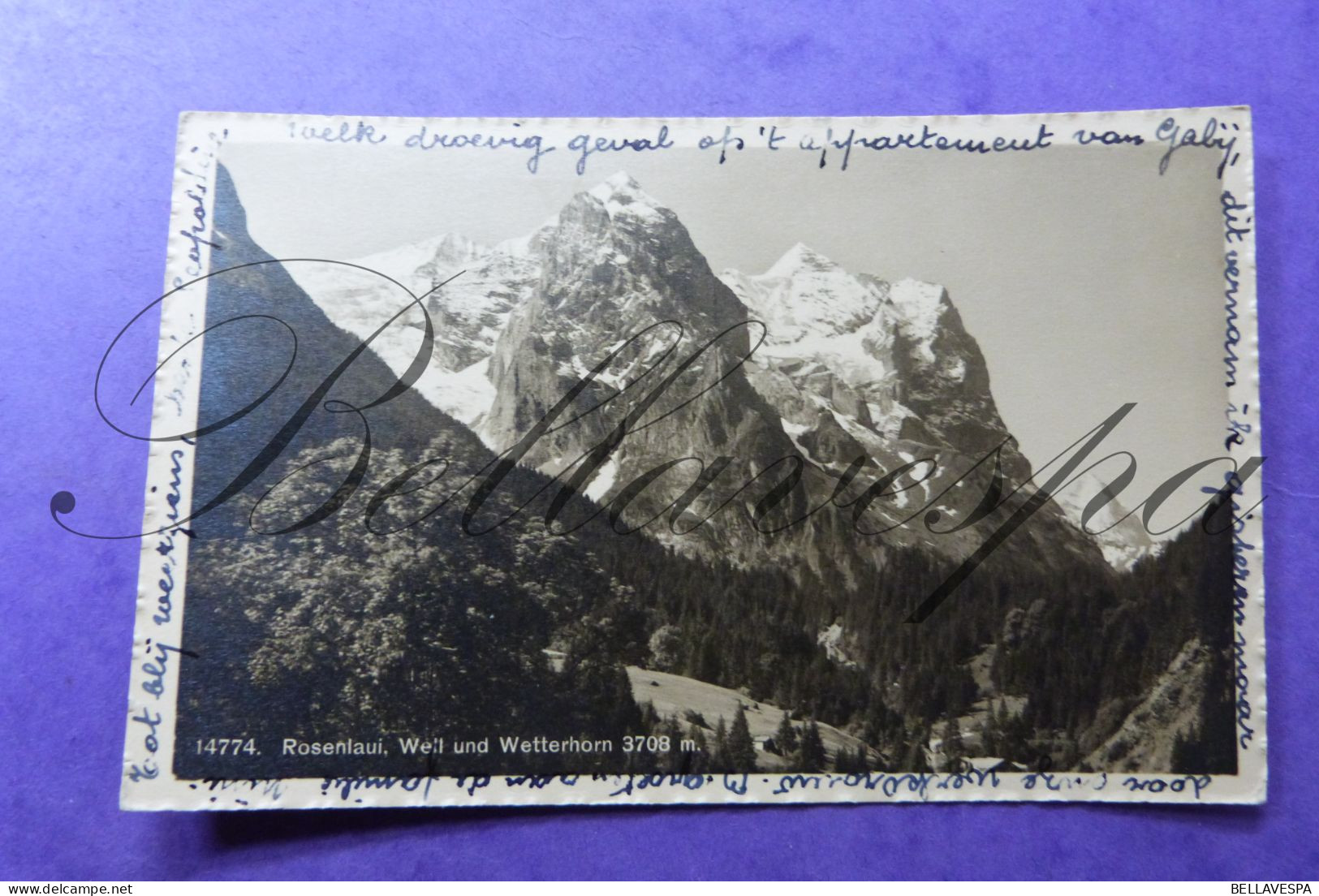 Rosenlaui Well Und Wetterhorn 3708 M  Montagne Mountain Carte Photo 1954 - Alpinisme