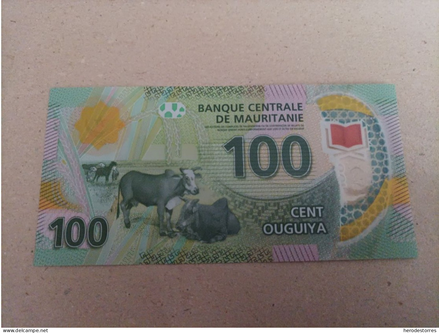 Billete De Mauritania De 100 Ouguiya, Año 2017, UNC - Mauritania