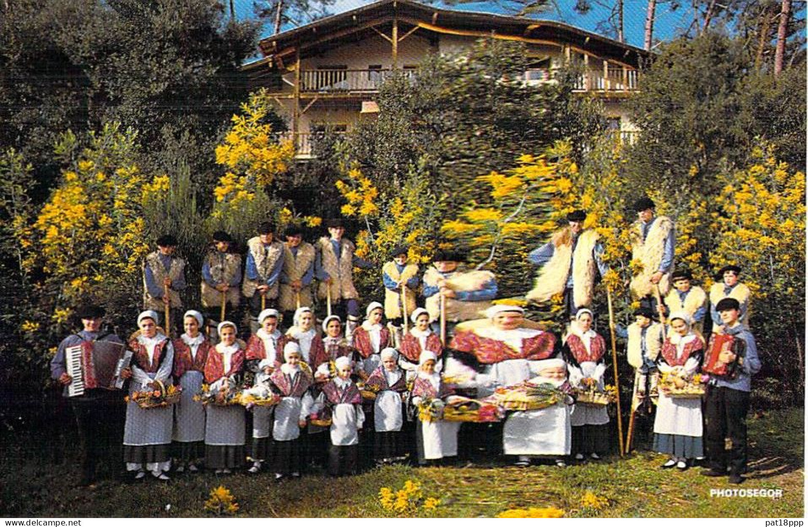 FOLKLORE Traditions - Lot De 10 CPSM-CPM Grand Format FRANCE (Groupes Folkloriques, Personnages, Costumes En Bon Plan) - 5 - 99 Karten