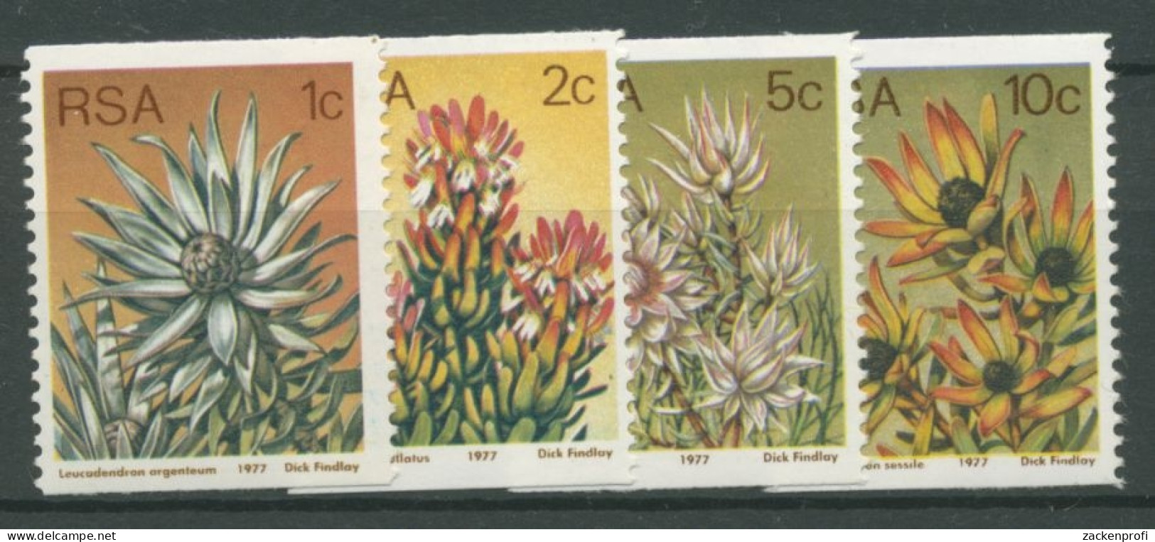 Südafrika 1977 Blütenpflanzen 529/32 Postfrisch - Nuovi