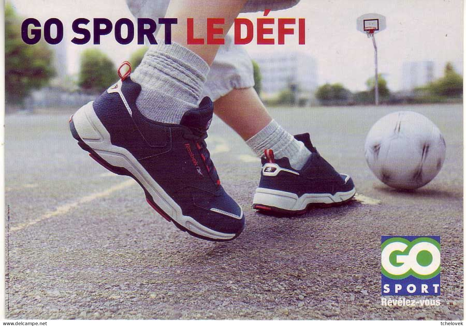 Thèmes. Sports. Basket Ball & Volley Ball. Rouen 2013 & Go Sport Le Defi - Pallavolo